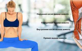 Плоский живот и осиная талия: активируем поперечную мышцу живота