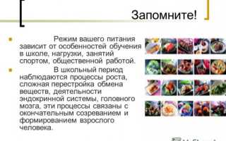 Перекус в школе, собираем ланч-бокс: 25 продуктов + 50 идей
