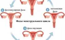 Как избавиться от менструации во время отпуска