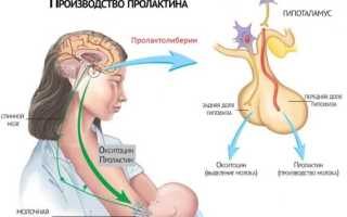 Почему период после родов называют 10 месяцем беременности?